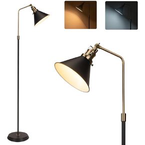 Black Metal Floor Lamp Industrial, Vintage Floor Lamp Black and Gold Design, Simple Corner Floor Lamp E26, 58'' Standing Lamp for Living Room, Bedroom, Office, Couch