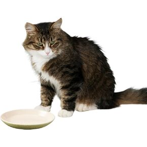 Ethical Pet Products 68054702: Dish Cat Speckled Oval 6In