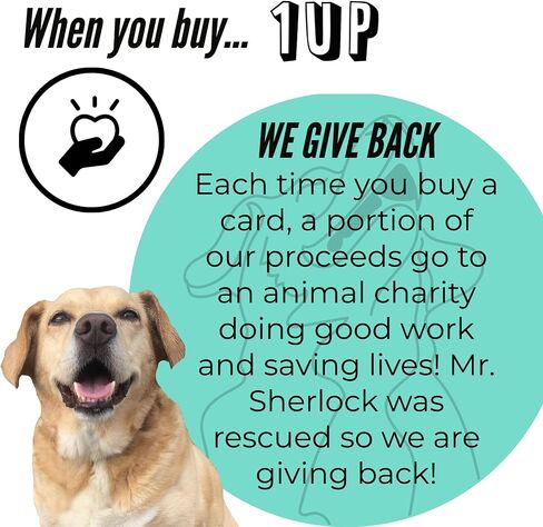 بطاقة عيد الحب الفردية للحفيد | تنين بارد مع صورة فارغة للتلوين | الشراء الخاص بك يساعد الحيوانات المحتاجة | 5 "x7.5" | بطاقة VDAY مع ENVELOPE | صنع في الولايات المتحدة | أنثى in Kuwait