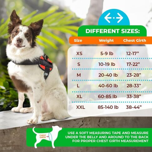 Joyride Harness 2.0 - The Original Side Ring No Pull Dog Harness - No Choke, Escape Proof, Reflective, 3 Leash Clips, Quick Fit Pet Vest - Easy Walks & Training - for Small, Medium & Large Dogs in Saudi Arabia