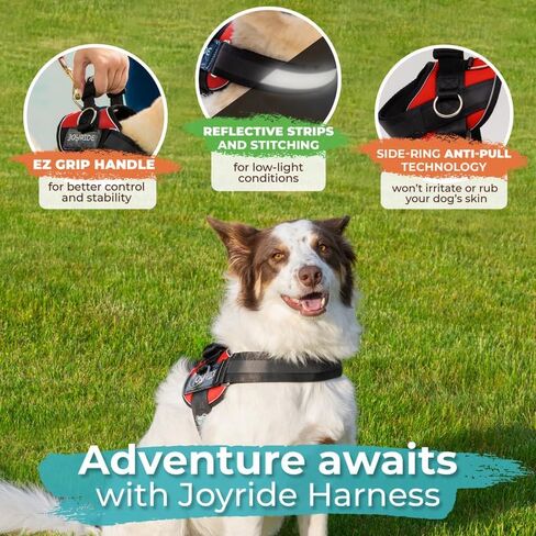 Joyride Harness 2.0 - The Original Side Ring No Pull Dog Harness - No Choke, Escape Proof, Reflective, 3 Leash Clips, Quick Fit Pet Vest - Easy Walks & Training - for Small, Medium & Large Dogs in Saudi Arabia