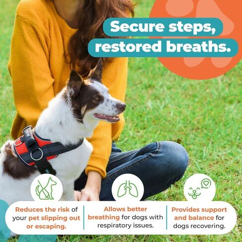 Joyride Harness 2.0 - The Original Side Ring No Pull Dog Harness - No Choke, Escape Proof, Reflective, 3 Leash Clips, Quick Fit Pet Vest - Easy Walks & Training - for Small, Medium & Large Dogs in Saudi Arabia