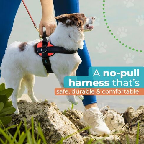 Joyride Harness 2.0 - The Original Side Ring No Pull Dog Harness - No Choke, Escape Proof, Reflective, 3 Leash Clips, Quick Fit Pet Vest - Easy Walks & Training - for Small, Medium & Large Dogs in Saudi Arabia