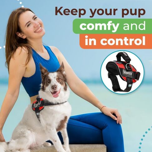 Joyride Harness 2.0 - The Original Side Ring No Pull Dog Harness - No Choke, Escape Proof, Reflective, 3 Leash Clips, Quick Fit Pet Vest - Easy Walks & Training - for Small, Medium & Large Dogs in Saudi Arabia