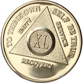 40 Year 24K Gold Plated AA (Alcoholics Anonymous) - Sober / Sobriety / Birthday / Anniversary / Recovery / Medallion / Coin / Chip