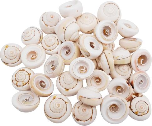 50pcs Open Back Natural Spiral Shell Beads Smooth Cut Oval Seashells Beach Seashells Cowrie Shells Charm Beads with Hole for DIY Craft Jewelry Making, Vase Filler Fish Tank Home Decor, 0.6"-1" in Saudi Arabia