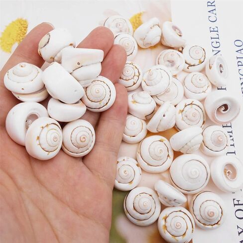 50pcs Open Back Natural Spiral Shell Beads Smooth Cut Oval Seashells Beach Seashells Cowrie Shells Charm Beads with Hole for DIY Craft Jewelry Making, Vase Filler Fish Tank Home Decor, 0.6"-1" in Saudi Arabia