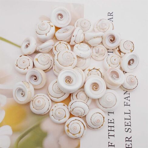 50pcs Open Back Natural Spiral Shell Beads Smooth Cut Oval Seashells Beach Seashells Cowrie Shells Charm Beads with Hole for DIY Craft Jewelry Making, Vase Filler Fish Tank Home Decor, 0.6"-1" in Saudi Arabia