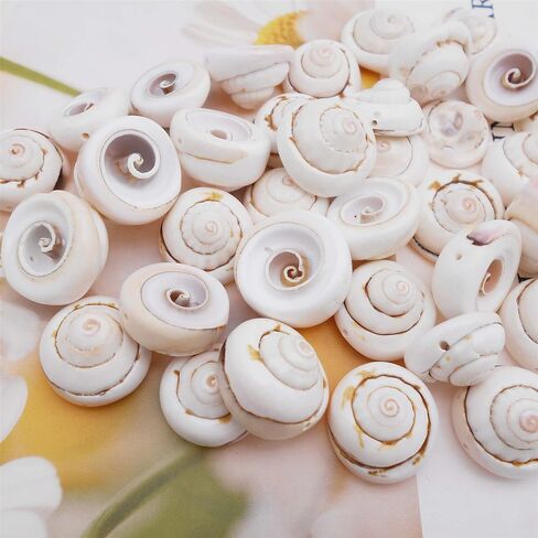 50pcs Open Back Natural Spiral Shell Beads Smooth Cut Oval Seashells Beach Seashells Cowrie Shells Charm Beads with Hole for DIY Craft Jewelry Making, Vase Filler Fish Tank Home Decor, 0.6"-1" in Saudi Arabia