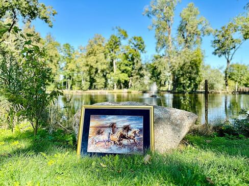 Riolis - في Sunset 100/038 ، Cross Cross Stitch Kit 23½ "x15¾ ، مجموعة التطريز الخيول ، أنماط غرزة متقاطعة للبالغين مع الخيول ، مجموعات غرزة المتقاطعة للبالغين المتقدمين والمبتدئين in Kuwait