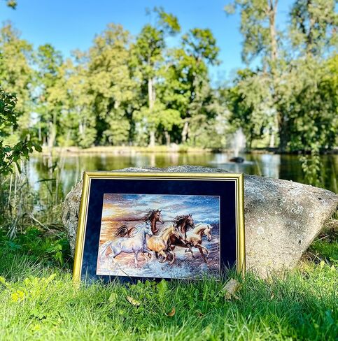 Riolis - في Sunset 100/038 ، Cross Cross Stitch Kit 23½ "x15¾ ، مجموعة التطريز الخيول ، أنماط غرزة متقاطعة للبالغين مع الخيول ، مجموعات غرزة المتقاطعة للبالغين المتقدمين والمبتدئين in Kuwait