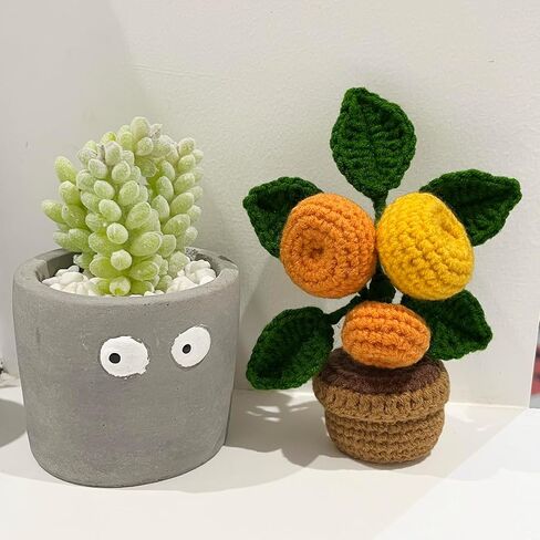 4 Style Cactus Crochet Kit for Beginner, Step-by-Step Crochet Tutorial Help to Easy Get Start, DIY Crochet Knitting Material Kit Include All Tools Needed, Best Gift for Friends and Someone You Love in Saudi Arabia