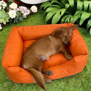 Dog & Cat Bed with Enhanced Waterproof Technology - Indoor/Outdoor, 20"x26", Easy Clean, Crate-Ready, Odor & Chew Resistant