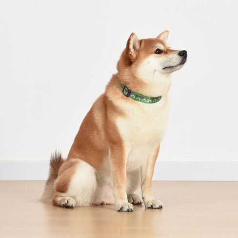 Marvel Comics The Hulk Dog Collar, Large Green & Purple | Officially Licensed Marvel The Incredible Hulk Dog Collar | Large Dog Collar for Large Dogs with D-Ring, Cute Dog Apparel & Accessories in Saudi Arabia