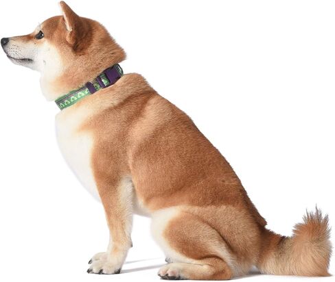 Marvel Comics ذوي طوق الكلاب الهيكل ، الأخضر والأرجواني الكبيرة | Marvel المرخص رسميًا The Incredible Hulk Dog Collar | طوق الكلاب الكبير للكلاب الكبيرة مع دائرة د ، ملابس كلب لطيفة وملحقاتها in Saudi Arabia