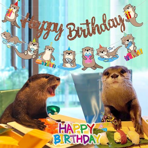 Cute Otter Birthday Party Decorations Brown Happy Birthday Banner Sea Otter Theme Garland Sea Animal Birthday Banner Decorations for Sea and River Otter Party Ocean Theme Baby Shower Supplies in Saudi Arabia