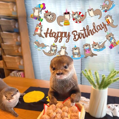 Cute Otter Birthday Party Decorations Brown Happy Birthday Banner Sea Otter Theme Garland Sea Animal Birthday Banner Decorations for Sea and River Otter Party Ocean Theme Baby Shower Supplies in Saudi Arabia