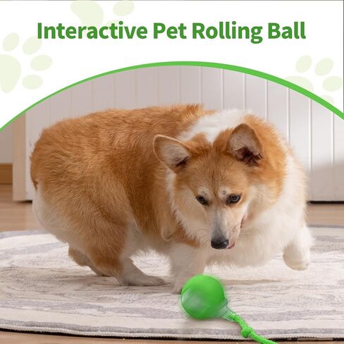 3pcs Smart Interactive Pet Toy Ball, Self Rolling Dog Ball Interactive Cat Toys, 360° Smart Automatic Rolling Ball Toy for Dogs Cats Indoor Outdoor Play (Red&Green&Grey) in Saudi Arabia