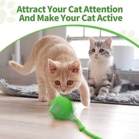3pcs Smart Interactive Pet Toy Ball, Self Rolling Dog Ball Interactive Cat Toys, 360° Smart Automatic Rolling Ball Toy for Dogs Cats Indoor Outdoor Play (Red&Green&Grey) in Saudi Arabia
