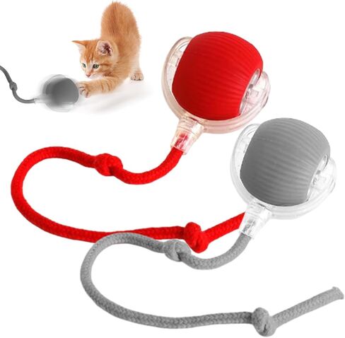 3pcs Smart Interactive Pet Toy Ball, Self Rolling Dog Ball Interactive Cat Toys, 360° Smart Automatic Rolling Ball Toy for Dogs Cats Indoor Outdoor Play (Red&Green&Grey) in Saudi Arabia