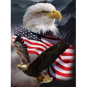 Saxsauly DIY 5D Diamond Painting Eagle and Flag by Truments Kits for Adult and Kids ، Round Full Drill Crystal Rhinestone Cross Cross Stitch Canvas for Home Wall Decor. (11.8x15.