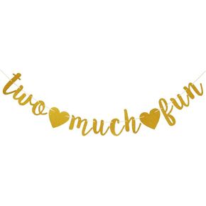 Two Much Fun Banner, Fun Sign for Baby's/Kid's/Boy's/Girl's 2nd Birthday Party Supplies, Gold Birthday Party Decorations