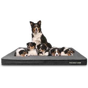 The Dog’s Bed Orthopedic Memory Foam Jumbo Dog Bed, XXXL Grey Plush 64x44, Pain Relief for Arthritis, Hip & Elbow Dysplasia, Post Surgery, Lameness, Supportive, Waterproof Washable Cover