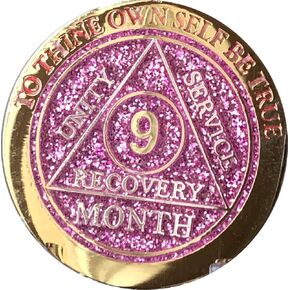 9 Month AA Medallion Reflex Pink Glitter Gold and Silver Plated Chip