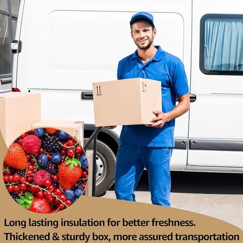 Acrux7 8 PCs صناديق شحن معزولة مع بطانات وأكياس رقائق الألومنيوم ، 10.2 "x6.3" × 7.1 in Kuwait