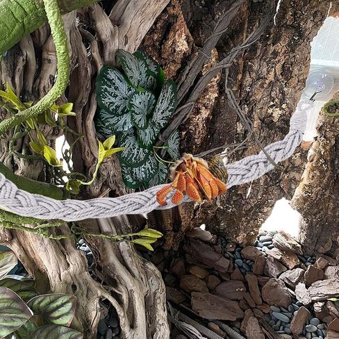 Hermit Crab Climbing Rope, 23.6 Inches, Cotton, Reptile Climbing Accessory, Gray in Kuwait