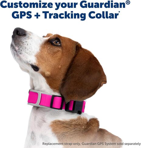 PetSafe Replacement Strap for Guardian GPS + Tracking Dog Fence Collar, Made with Soft-Touch Nylon for Enhanced Comfort and Long-Lasting Wear - Water-Wicking, Waterproof Material, Gray in Saudi Arabia
