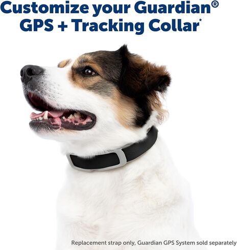 PetSafe Replacement Strap for Guardian GPS + Tracking Dog Fence Collar, Made with Soft-Touch Nylon for Enhanced Comfort and Long-Lasting Wear - Water-Wicking, Waterproof Material, Gray in Saudi Arabia