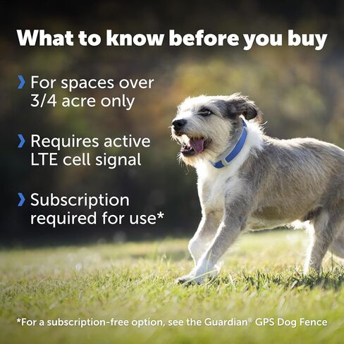 PetSafe Replacement Strap for Guardian GPS + Tracking Dog Fence Collar, Made with Soft-Touch Nylon for Enhanced Comfort and Long-Lasting Wear - Water-Wicking, Waterproof Material, Gray in Saudi Arabia