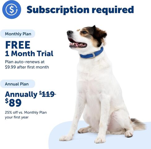 حزام بديل Petsafe لـ Guardian GPS + تتبع طوق السياج الكلب ، مصنوع من نايلون ناعم لللمس من أجل الراحة المعززة وارتداء طويل الأمد-مواد مائية ، رمادية ، رمادية in Kuwait