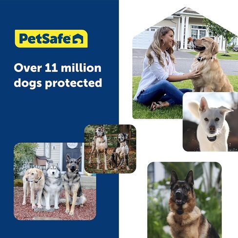 حزام بديل Petsafe لـ Guardian GPS + تتبع طوق السياج الكلب ، مصنوع من نايلون ناعم لللمس من أجل الراحة المعززة وارتداء طويل الأمد-مواد مائية ، رمادية ، رمادية in Kuwait
