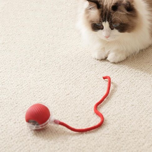Cat Toys Cat Toys for Indoor Cats Interactive Cat Toys Smart Obstacle Avoidance Cat Ball Indoor Cat Boredom Interactive Toys (Grizzly) in Saudi Arabia