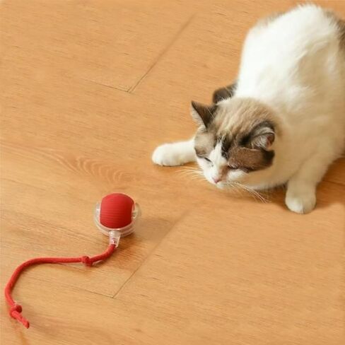 Cat Toys Cat Toys for Indoor Cats Interactive Cat Toys Smart Obstacle Avoidance Cat Ball Indoor Cat Boredom Interactive Toys (Grizzly) in Saudi Arabia