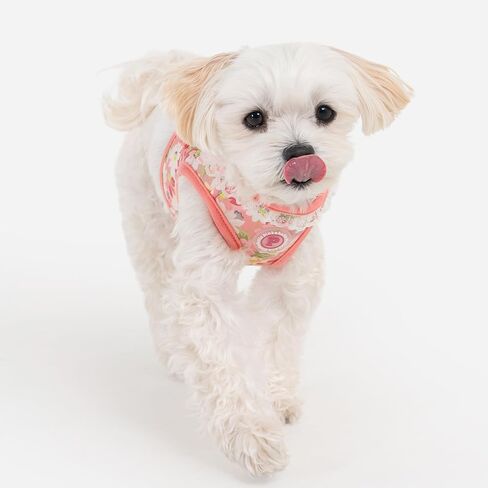Pinkaholic New York Davina Dog Vest Harness (Step-in) Houndstooth Pattern Fashionable Cute Spring Summer Harness for Small Dogs, Indian Pink, Large in Saudi Arabia