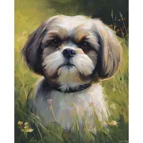 QACEYID Paint by Number Shih Tzu on The Grass DIY Oil Painting Paint by Number Kit for Adults Beginner Dog DIY Canvas Acrylic Painting by Numbers Painting Arts Craft for Home Decor, 40x50cm