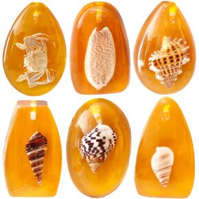 6 Pcs Amber Natural Hermit Crab Shells Turbo Seashells Hermit Crab Accessories Magic Conch Shell Sea Shells for Decorating Hermit Crab Kit