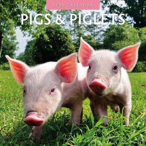 Red Robin 2025 Pigs & Piglets Monthly Wall Calendar | 12" x 24" Open | Premium Thick & Sturdy Paper | Hangable 12 Month Calendar | Plastic Free | 4 Month Transition Page for 2024