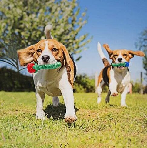 ألعاب Blingbrione Dog مضغ للسلالة الكبيرة العدوانية للمضغات العدوانية ، ألعاب Buppy Rose Rood Rubber Bearing للكلاب الصغيرة/المتوسطة ، وألعاب قوية للتدريب والتنظيف ، هدية عيد الحب التفاعلية. in Kuwait