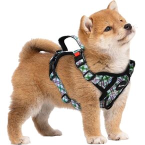 No Pull Dog Harness Vest Reflective Front Clip Vest with Leash, Adjustable 2 Metal Rings 2 Buckles Easy to Wear & Take Off (Small, Green)