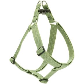 LupinePet Eco 1" Moss 16-28" Adjustable Collar for Large Dogs