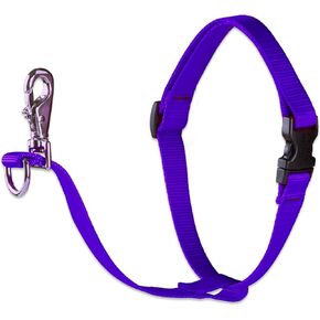 LupinePet Basics 1" Purple 26-38" No Pull Harness for Medium-Larger Dogs