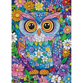 KEYIFA Diamond Painting Colorful Owl Diamond Art Kits for Adults, Special Shaped Rhinestone Diamond Painting Kit for Beginner, Partial Drill Gems Art Craft for Home Wall Decor 12x16 inch