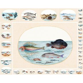 Decoupage Paper Pack (35 Sheets 6"x8") Diagrams of Types of Fish and Crustaceans FLONZ Vintage Illustration Pictures Cards for Decoupage, Craft and Scrapbooking