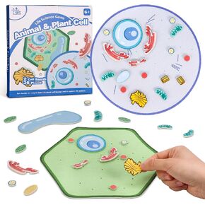 Animal and Plant Cell Anatomy Model, Soft Felt Toy, Early Cell Biology and Life Science STEM Toys, Classroom Teaching Aid, Educational Learning Activities STEM Birthday Toys for Kids 6+