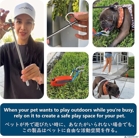 Dog Tie Out Stake - Stainless Steel Heavy Duty Dog Stake for Outside, Dog Anchor for Dog Tie Out Cable for Yard, Free Swivel Dog Stake Camping Gear for Small Dog Up to 20 lbs (12 Inch) in Saudi Arabia