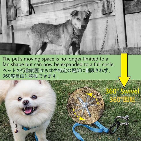 Dog Tie Out Stake - Stainless Steel Heavy Duty Dog Stake for Outside, Dog Anchor for Dog Tie Out Cable for Yard, Free Swivel Dog Stake Camping Gear for Small Dog Up to 20 lbs (12 Inch) in Saudi Arabia
